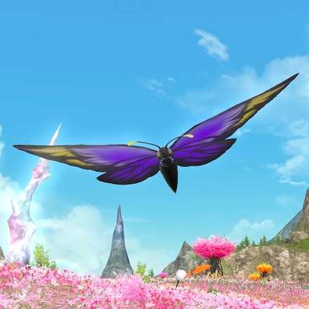 パープルモルフォの画像