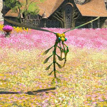 ホーカーの画像