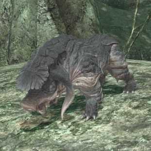 ワイルドスワインの画像