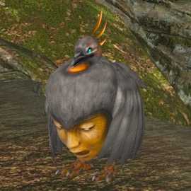 グレートウッドレイルの画像