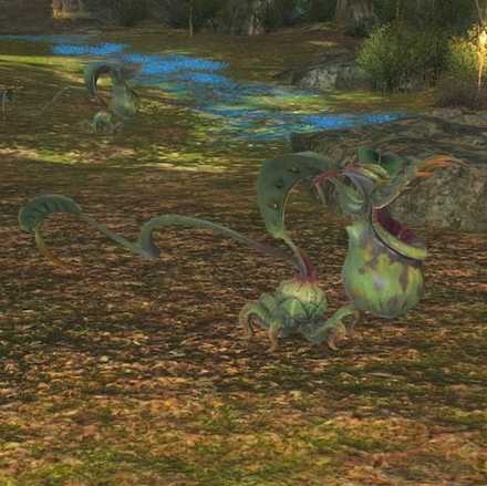 スナップウィードの画像