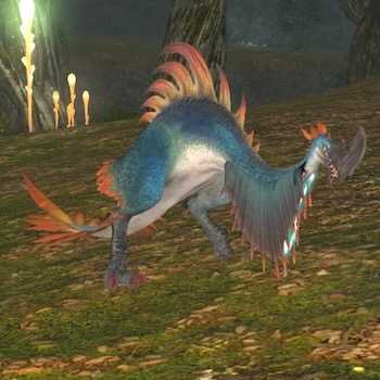 タリチャックの画像