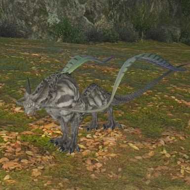 カラカルの画像