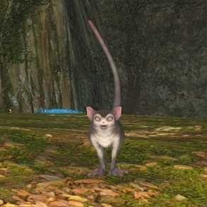 フロア・マンドリルの画像