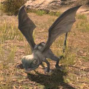 ウィップテールの画像