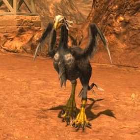 フォルスラコスの画像