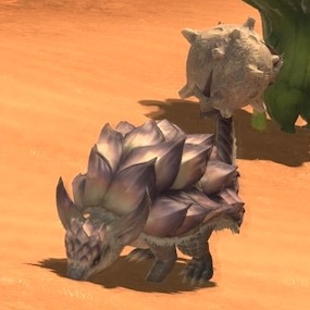 デザート・アルマジロの画像