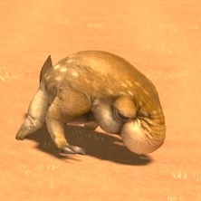 サンドモールの画像