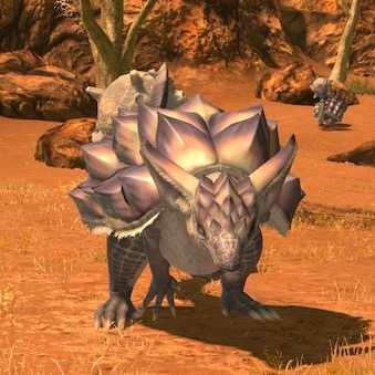 ロングテール・アルマジロの画像