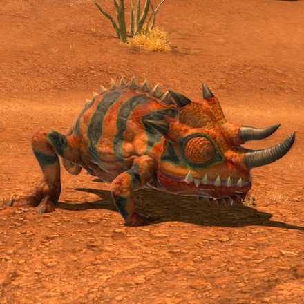 アンバーイグアナの画像