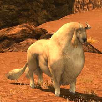 オヴィム・ナニーの画像