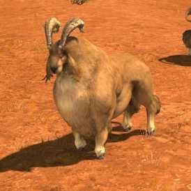 オヴィム・ビリーの画像