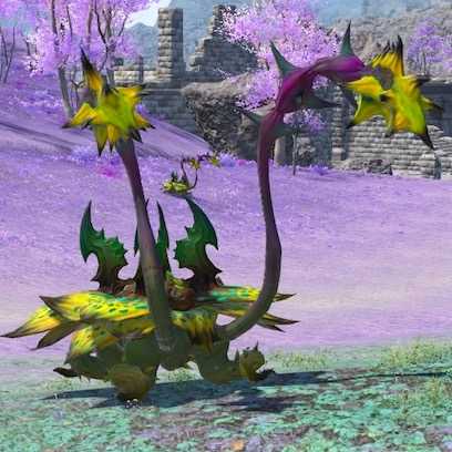 ヤテベオの画像