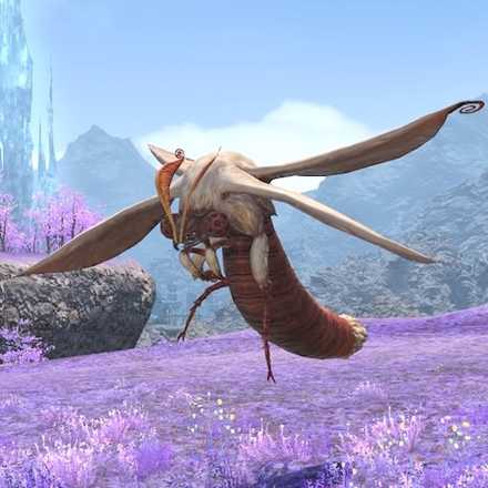 シルクモスの画像