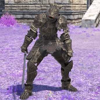 エルヴンナイトの画像