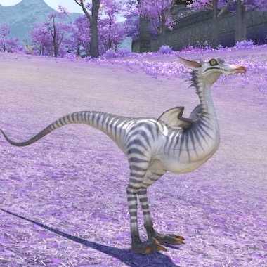 コエルロサウルスの画像