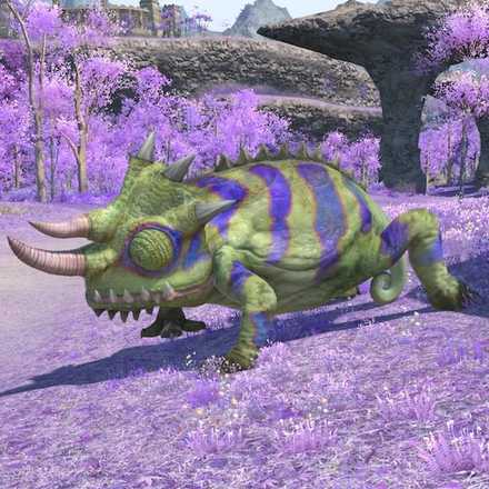 ジャイアントイグアナの画像