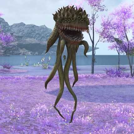 レイク・アネモネの画像