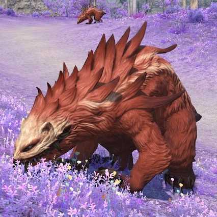 ヴァルヴァリンの画像