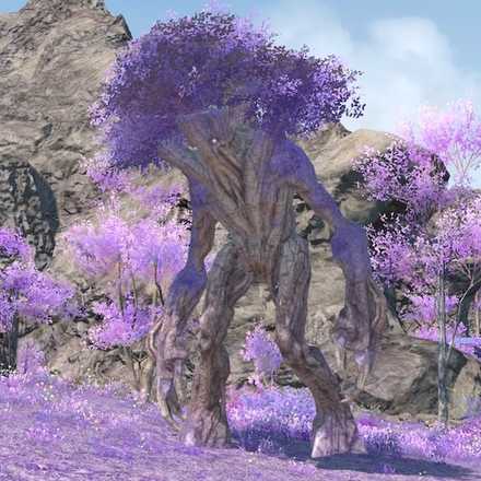 ヴァイオレット・トリフィドの画像