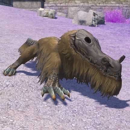 プロテロスクスの画像