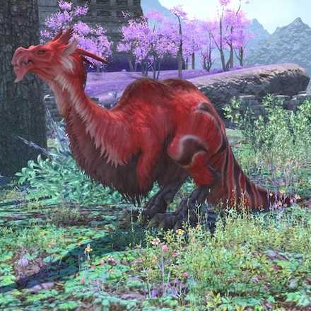 チリアド・キャマの画像