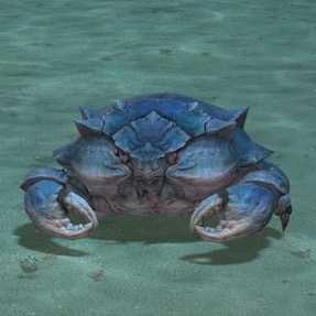 トリロバイトの画像