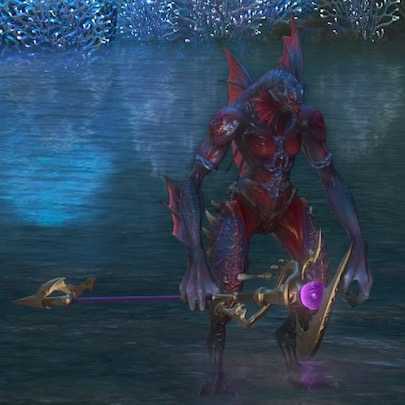 フラウンダー・ディヴァイナーの画像