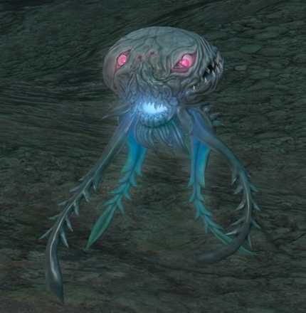 ヒドロゾアの画像