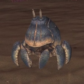 スイミングクラブの画像