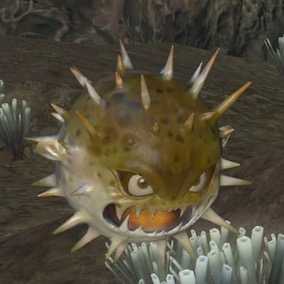 アーチンフィッシュの画像