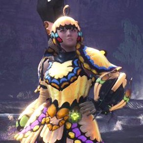 パピヨンの画像