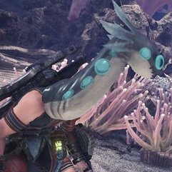 ユラユラの画像