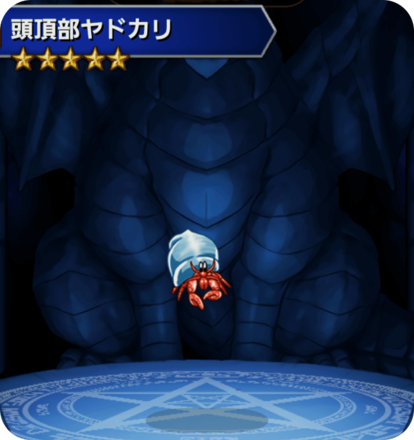 頭頂部ヤドカリの画像