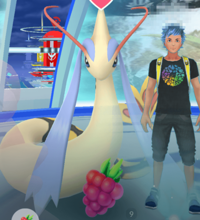 ポケモンgo 持ち物がいっぱいですの対処法と捨ててもいい道具 ゲームエイト