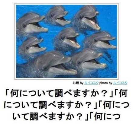 コメント画像