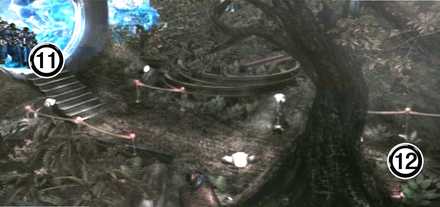 セントラ発掘現場⑪