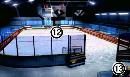 ガルバディアガーデン体育館①