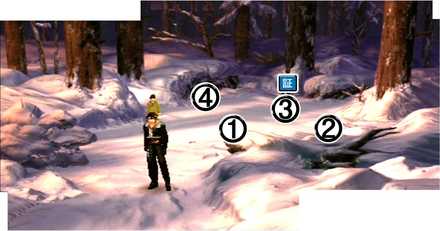 チョコボの森(初心者)