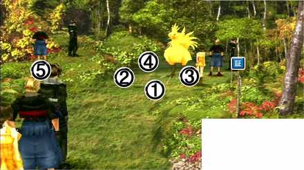 チョコボの森(遊び)