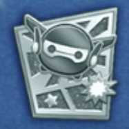 シルバーピンズの画像