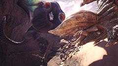 荒地の気になる出来事の開催日