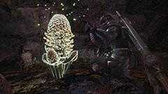 地下の主が呼んでいる…の開催日