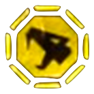 撃龍王のコイン