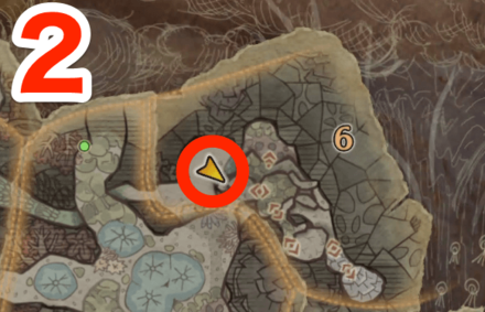 陸珊瑚の台地のオタカラ6の2つ目