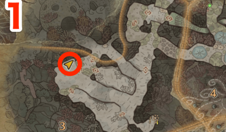 陸珊瑚の台地のオタカラ8の1つ目