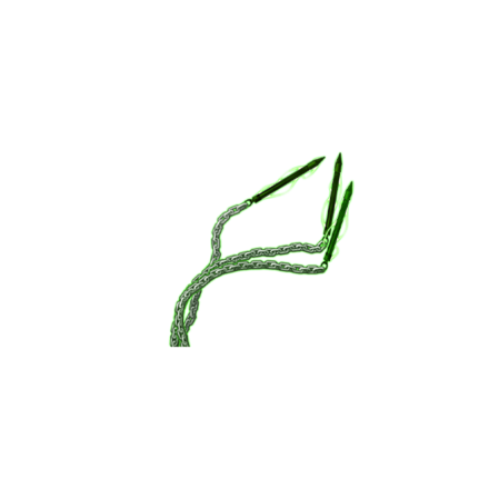 絶風死鎌・嵐【左】