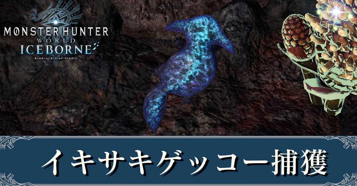 イキサキゲッコー捕獲