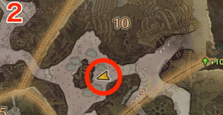 瘴気の谷オタカラ8の2つ目の場所