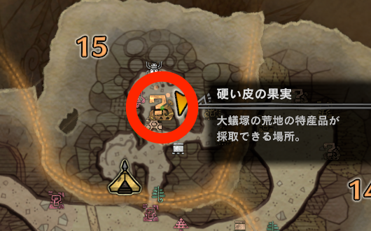 イキサキゲッコーの出現場所(大蟻塚)